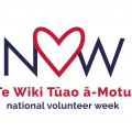 NVW Logo Colour v3